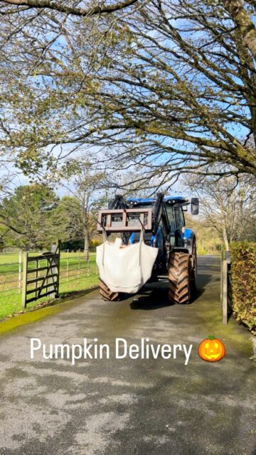 Getting ready for the kids Halloween walk 🎃👻. #graigwoodland #communitywoodland #natureinwales #connectwithnature #halloween