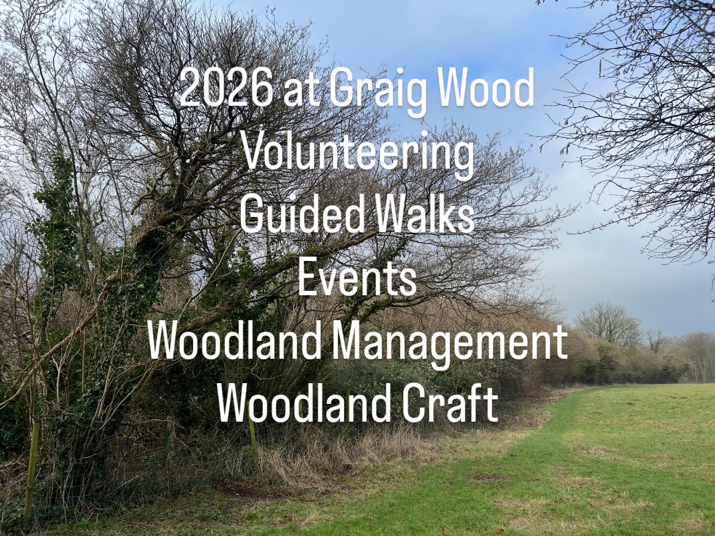 Follows us to find out what’s in and when 🌳