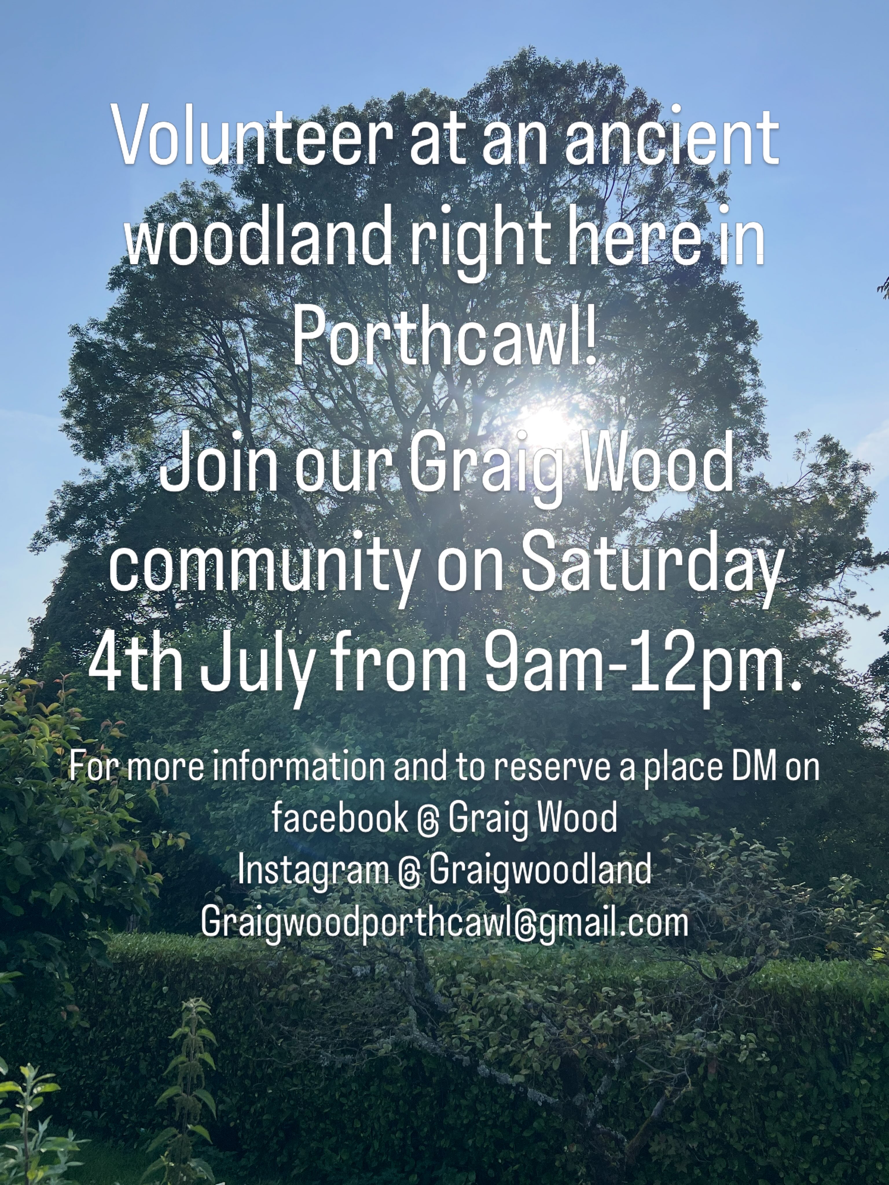 Join us to carry out essential woodland management work to improve biodiversity and future resilience in a beautiful wood full of history and wildlife.
Learn new skills, meet new people and socialise with a cuppa around the fire. 🌳