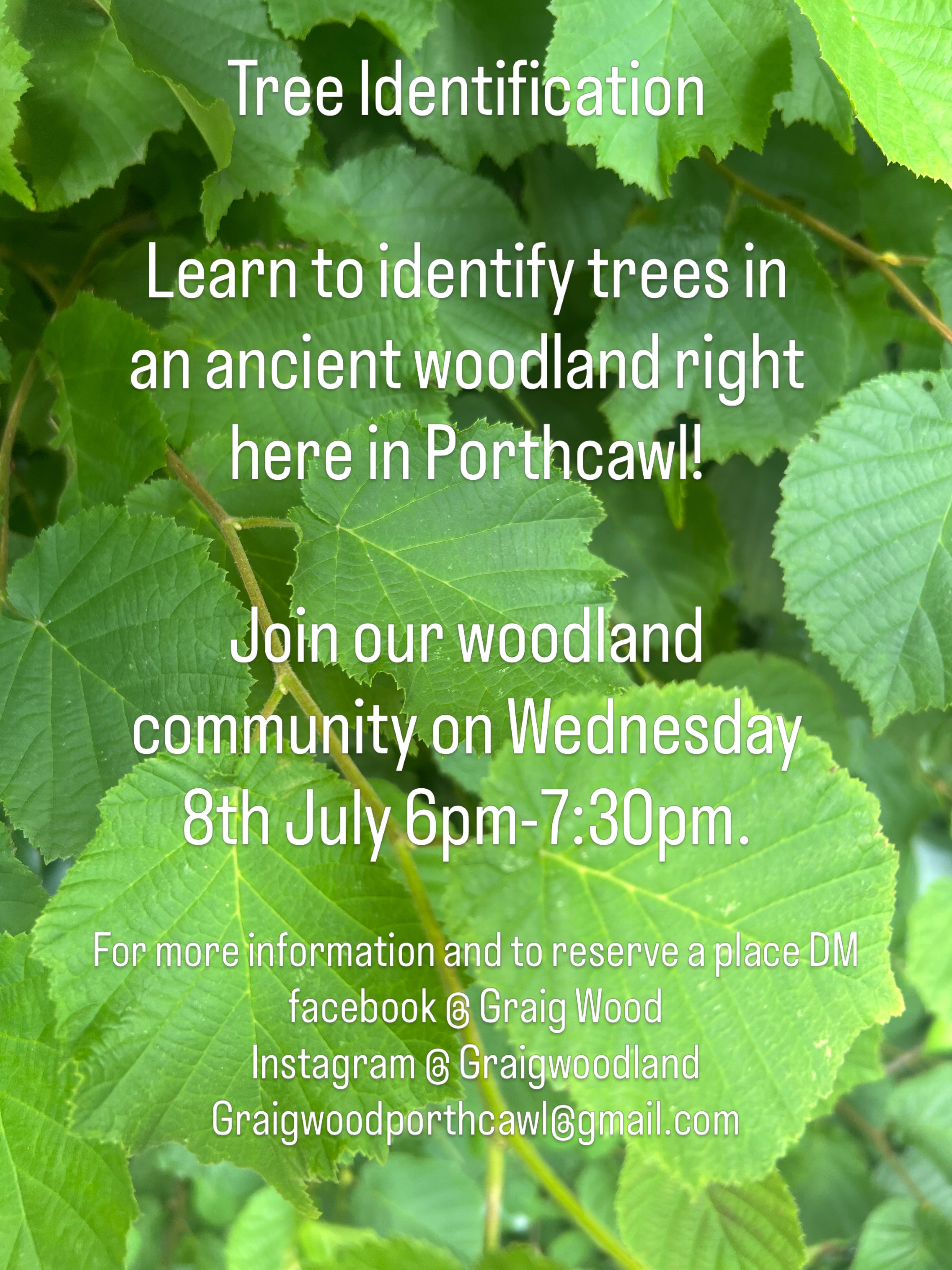 Join us in a beautiful woodland classroom full of history and wildlife. 
Discover how to identify 15 native tree species here at Graig Wood.