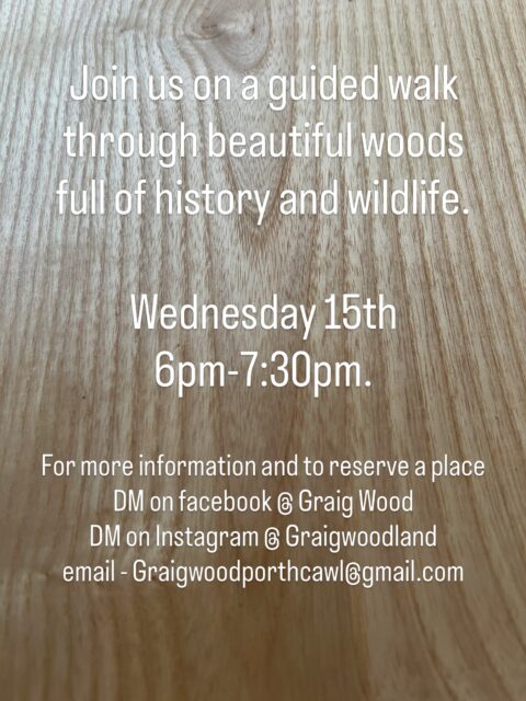 Explore an ancient woodland right here in Porthcawl!Learn about the restoration project planned to improve the biodiversity and how you can get involved.